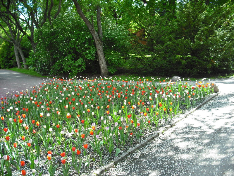 Oslo, ogród botaniczny
